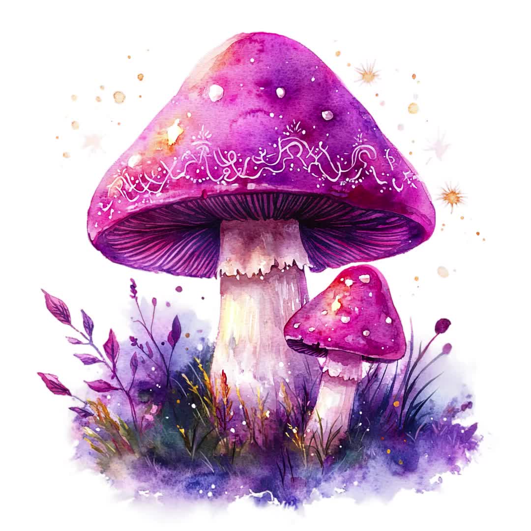 PNG + JPEG 水彩画 森のキノコ クリップアート バンドル 魔法のキノコ